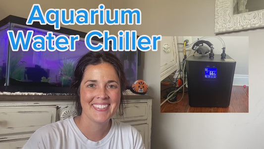 Aquarium Chiller